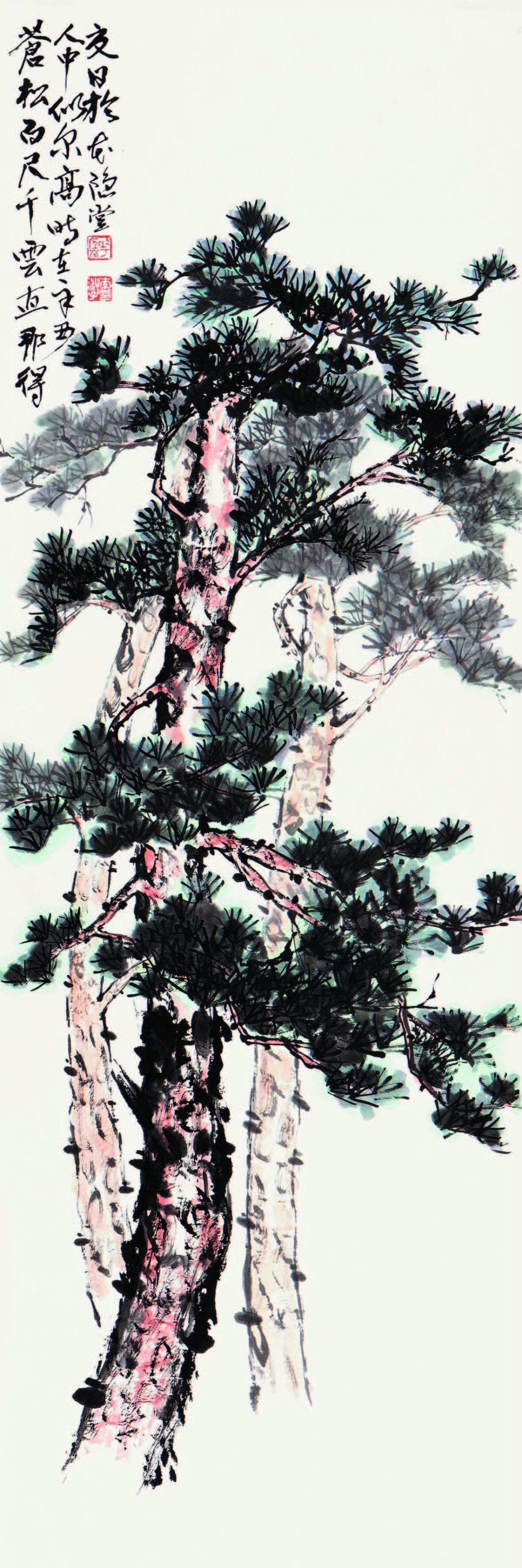 소나무 松 Pine