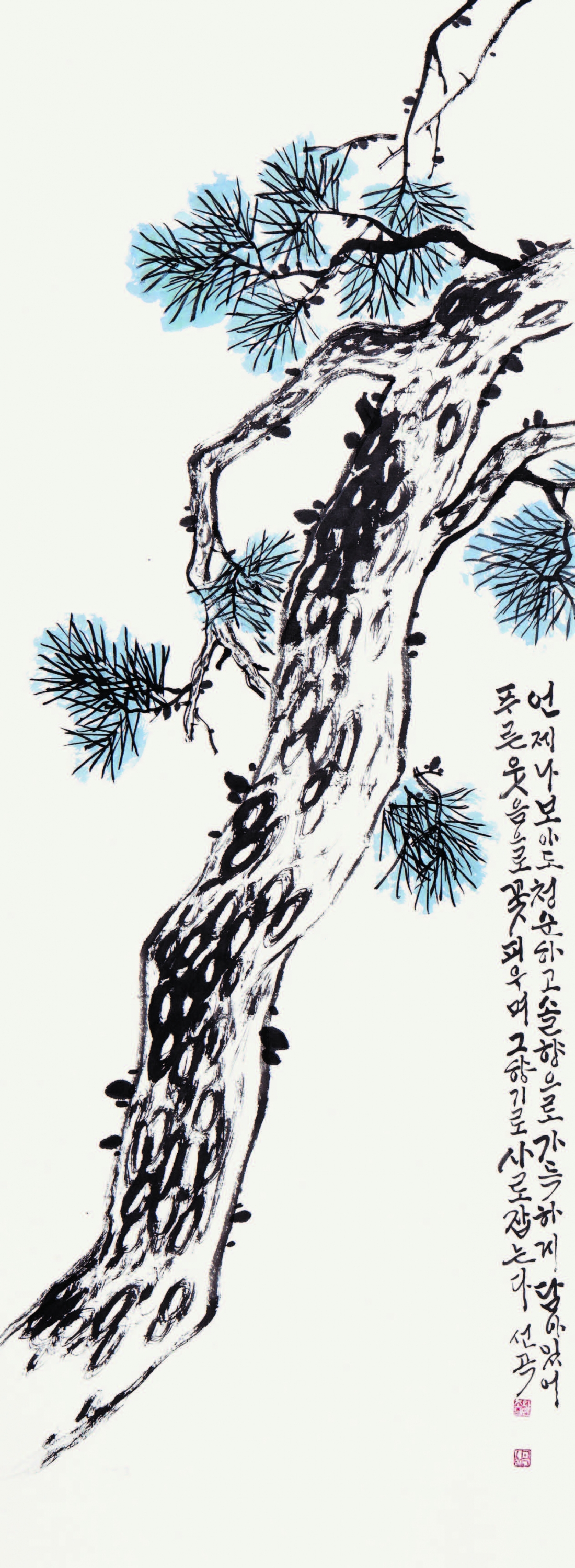 소나무 松 Pine tree