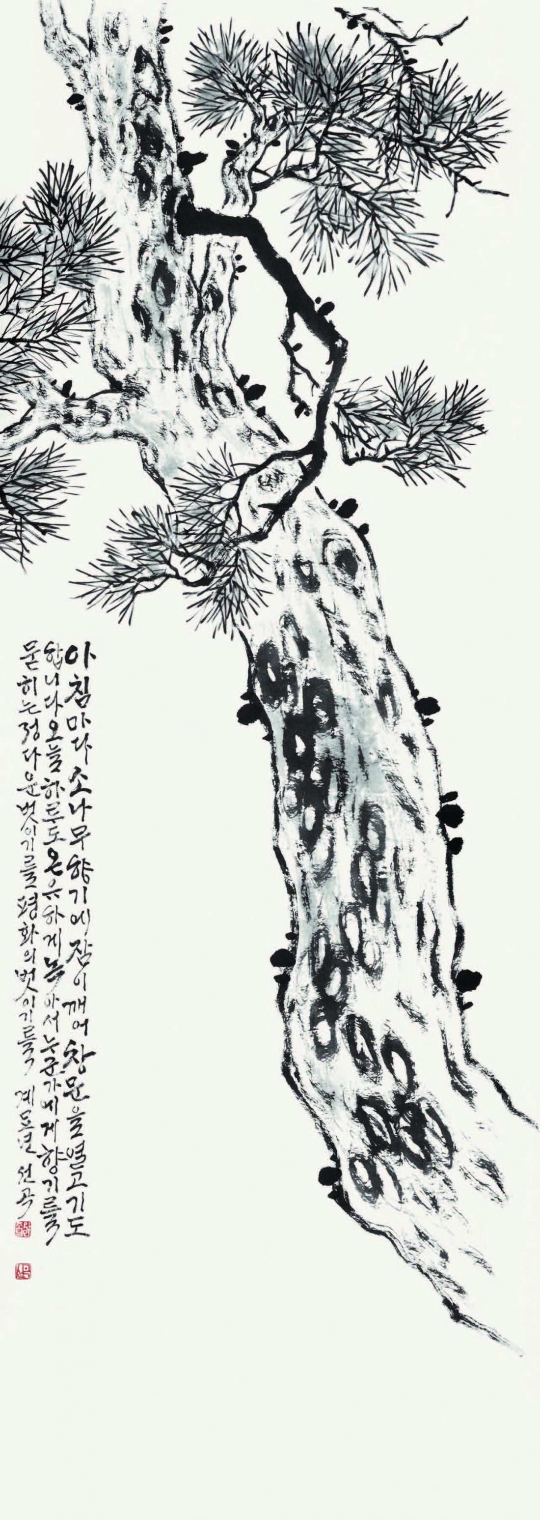 소나무 松 Pine tree