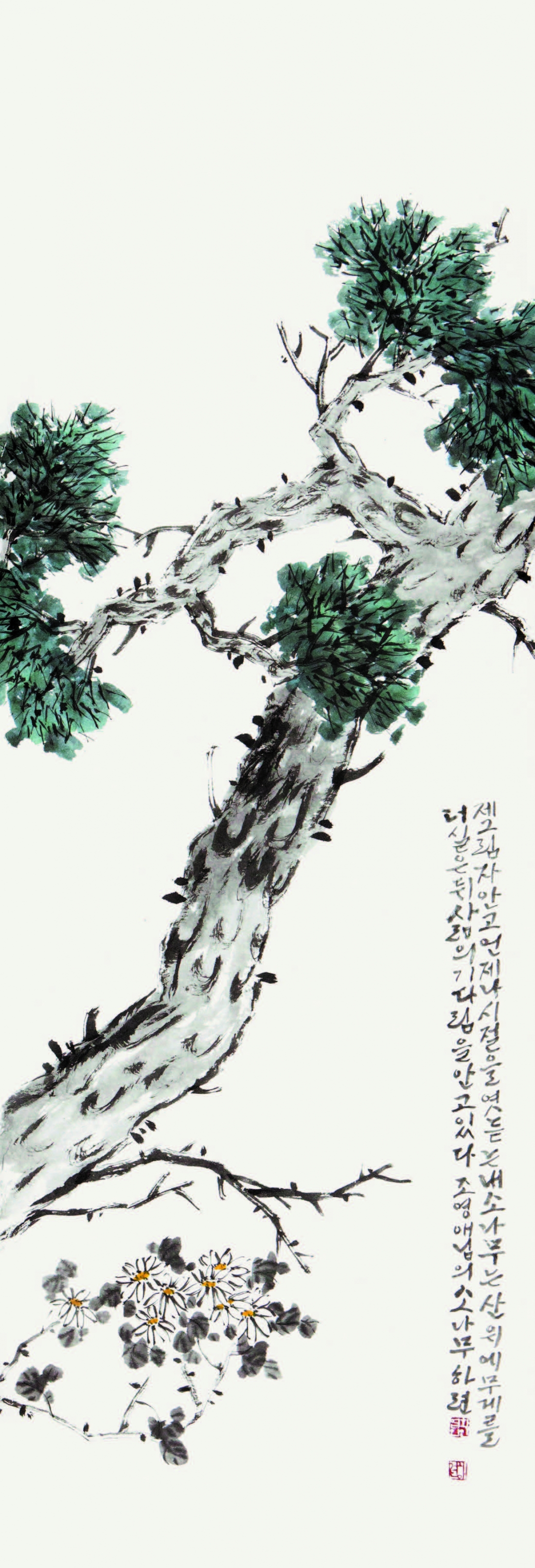 소나무 松 Pine tree